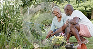 Happy african american senior couple gardening in sunny garden, slow motion