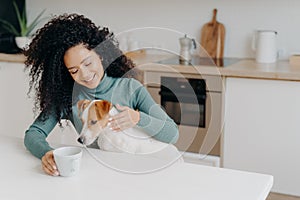 Happy Afro African woman with curly hairstyle treats dog in kitchen, pose at white table with mug of drink, enjoy domestic