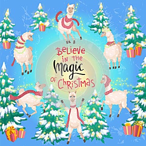 Happy alpacas, Christmas trees, gifts around, Christmas celebration. Bright postcard congratulation post design, vector