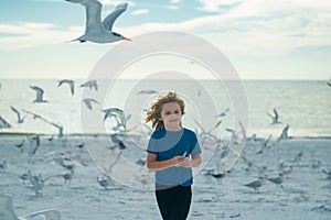 Happy amazed kid running, chasing birds. Kid chasing birds near beach on summer day. Child and seagull on the sea