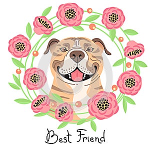 Happy American Staffordshire Pit Bull Terrier. Best friend - Pit Bull dog and wreath of flowers in the style of cartoon
