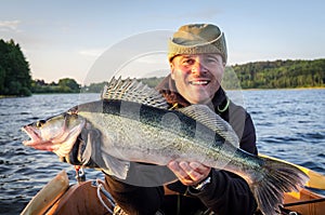Happy angler with fresh caught big walleye photo