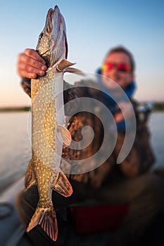 Happy angler holds the pike fish