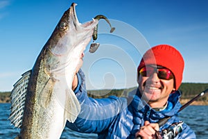 Happy angler holds Zander fish
