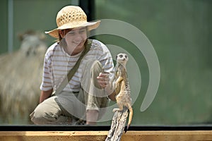 Happy animal lover teenager girl looking at funny Meerkat mongoose