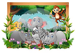 Happy animals in square frame forest