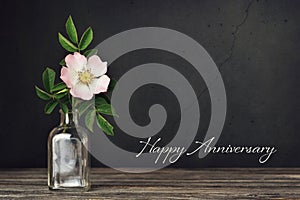 Happy Anniversary card. Dog rose in vase on dark grunge background