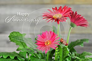 Happy Anniversary card with gerbera daisies