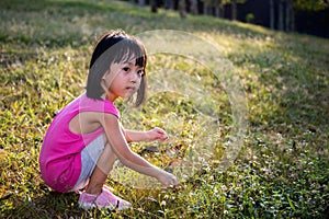 Happy Asian Chinese Little Girl Picking Wild Flowers