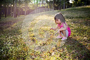 Happy Asian Chinese Little Girl Picking Wild Flowers