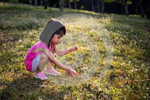 Happy Asian Chinese Little Girl Picking Wild Flowers