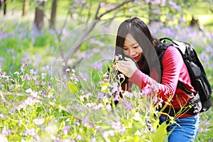 Šťastný asijský čínština žena krása fotograf v příroda květina v jaro podzim 