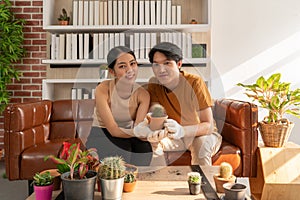 Happy Asian couples spend their free time taking care of the cactus plant together in the living room on weekends