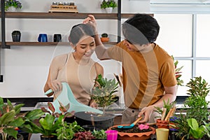 Happy Asian couples spend their free time taking care of and watering on the foliage plant together in the living room on weekends