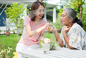 Happy Asian daughter have lunch whit her family and feeding salad to mother in backyard