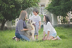 Happy Asian family playing with siberian husky dog