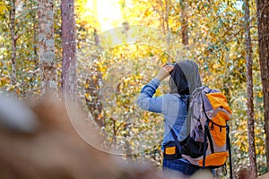 Happy Asian girl backpack in park and forest background Relax time on holiday concept travel