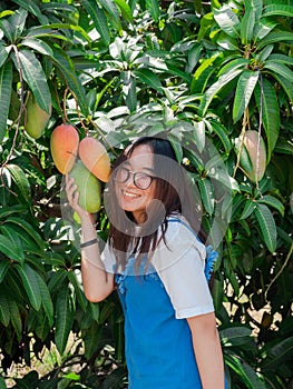 Happy Asian girl with eyeglasses holding fresh rainbow mango or Mahachanok Mango from the tree