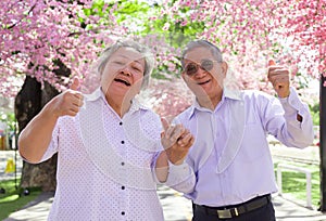 Happy asian granfather and granmother smiling