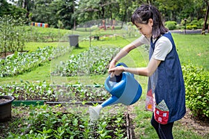 Happy asian little girl watering plants with watering can in organic garden,activities,help parents to grow vegetables in summer,
