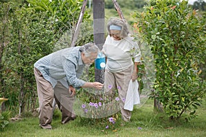 Happy asian old couple watering the plants  in the front lawn at home. senior man and elder woman Spend time together in backyard