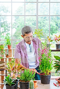 Happy retirement senior is planting tree and flower pot for hobby in his grasshouse