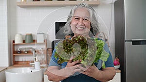 Happy Asian senior woman holding organic lettuce vegetable