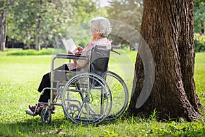 Happy asian senior woman reading a book relaxed in the morning in green nature,near the big tree,elderly people spend their free