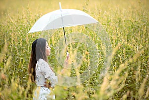 Happy asian woman lifestyle hand holding umbrella in the meadow autumn yellow flower sunrise. Active Outdoor Relax and enjoy in N