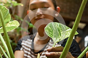 Happy Asian woman planting philodendron houseplant at home