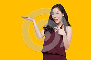 Happy Asian woman presenting or showing open hand palm on yellow background.