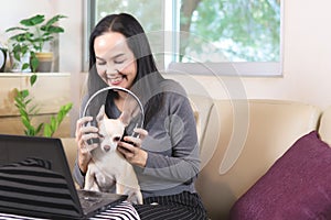 happy Asian woman sitting with computer on sofa in living room  trying to put on headphones on her chihuahua dog. Dog lover  work