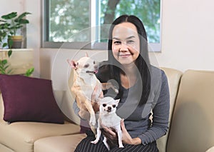 happy Asian woman sitting with two chihuahua dogs in living room  looking and smiling at camera. dog lover  stay home   social