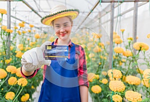 Happy asian woman standing and holding credit card in yellow marigold garden photo