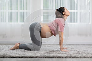 Happy Attractive Asian Pregnant woman practice Cat Cow Pose to meditation smile with big belly in the morning comfortable and
