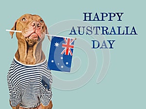 Happy Australia Day. Cute dog and Australian Flag