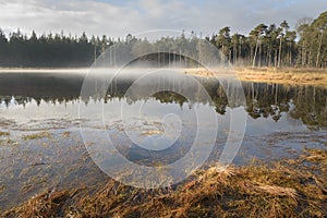 Happy autumn scenery with sunlight lighting up the mist cloud on forest pond