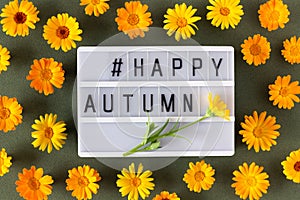 Happy autumn text on light box and orange calendula flowers on green background. Top view Flat lay Minimal style. Concept Welcome