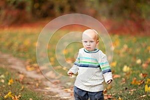 Happy baby boy with autumn leaves in the park