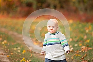 Happy baby boy with autumn leaves in the park