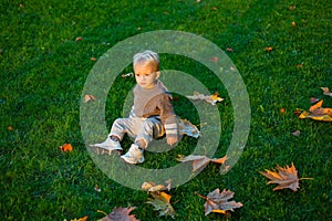 Happy baby boy lies among fallen leaves and green grass. Autumnal leisure time. Warm sunny autumn. Happy little kid