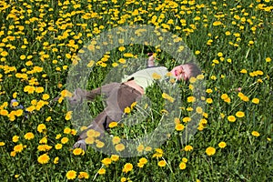 Happy baby boy standing in grass on the field with dandelions at sunny summer evening. child outdoors in nature at sunset blowing