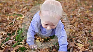 Happy baby crawls on colorful autumn leaves in the park