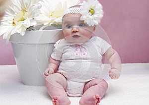 Happy Baby and Daisies