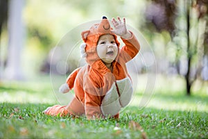 Happy baby girl dressed in fox costume crawling on lawn in park