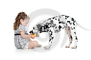 Happy baby girl feeding dog isolated on white
