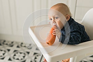 Happy baby sitting in high chair eating carrot in kitchen copy space. Healthy nutrition for kids. Bio carrot as first