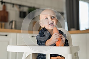 Happy baby sitting in high chair eating carrot in kitchen copy space. Healthy nutrition for kids. Bio carrot as first