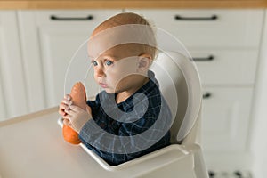 Happy baby sitting in high chair eating carrot in kitchen copy space. Healthy nutrition for kids. Bio carrot as first