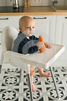 Happy baby sitting in high chair eating carrot in kitchen copy space. Healthy nutrition for kids. Bio carrot as first